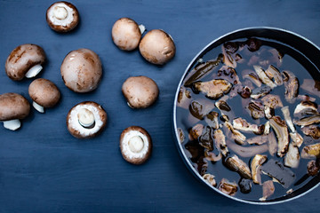 Mushroom soup on a dark blue background
