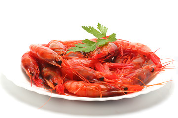 composición
 aislada de diferentes mariscos 