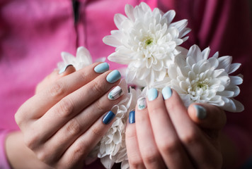 Fototapeta premium Stylish manicure in cold tones on the girl 's hands against a background of white chrysathemums.