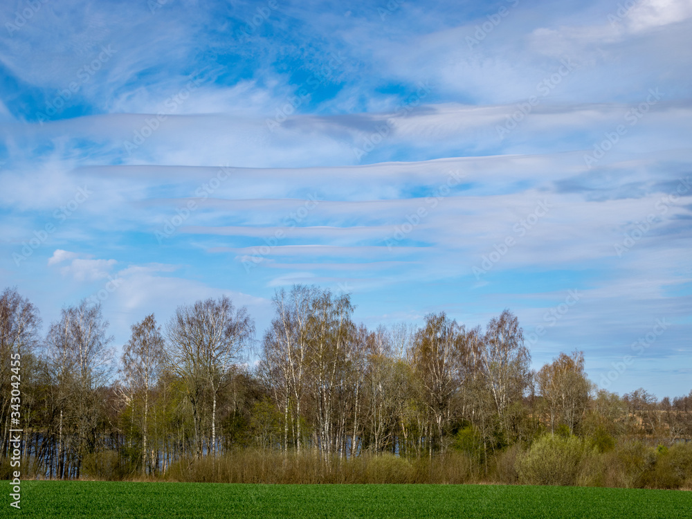 Wall mural spring landscape with blue sky, white clouds