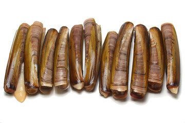 Navajas, crust&aacute;ceo aislado