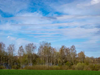 spring landscape with blue sky, white clouds
