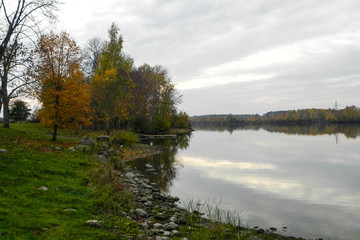 Fototapeta na wymiar Leaves of trees painted beautifully by the lake