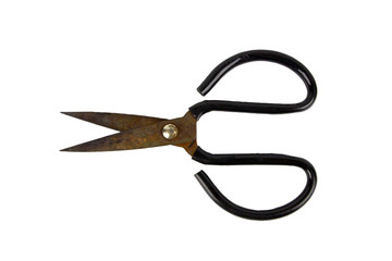 Rusty scissors isolated on white background.