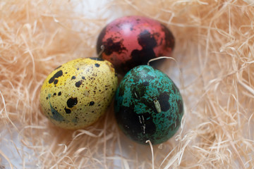 easter eggs in a nest