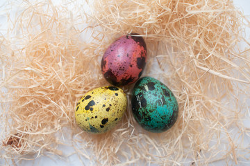easter eggs in nest