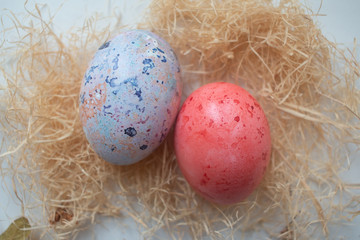 easter eggs in a nest