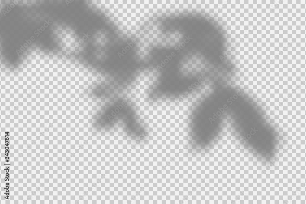 Poster shadow overlay effect. transparent overlay shadow from leaves, branches, plant and foliage. realisti