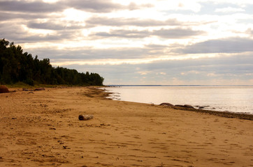 Seashore with trees next to and beautiful clouds