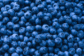 Fresh blueberry background. Texture blueberry berries close up.