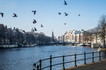 Canals of Amsterdam