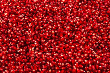 Christmas decoration, red ball isolated on white background.