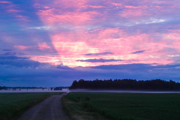 The sun at sunset with mist beneath it
