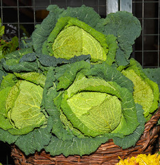 fresh salads and vegetables at the market