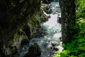 Fototapeta na wymiar River flows through the forest along the cliffs