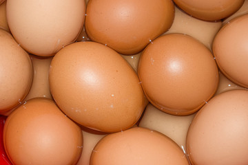 Eggs