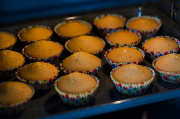 cupcakes with chocolate
