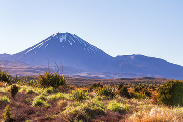 Obraz premium Tongariro alpine track. Portrait of Mountain. North Island. New Zealand