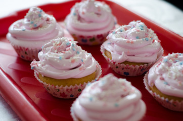 cupcakes with icing