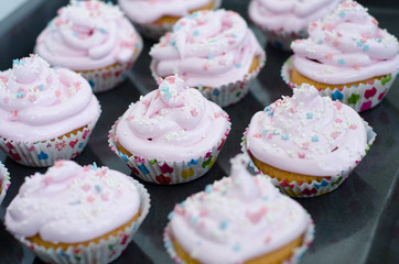 cupcakes with icing