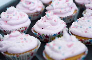 cupcakes with pink icing