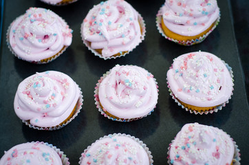 cupcakes with pink icing