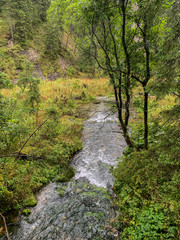 Obraz premium Trekking in the Kościeliska Valley, Tatra mountains.