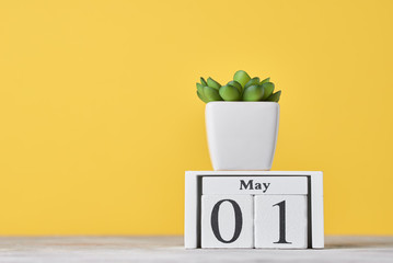 Wooden block calendar with date May 1 and succulent plant in the pot on yellow background. Labor...