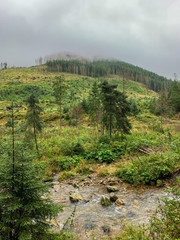 Trekking in the Kościeliska Valley, Tatra mountains.