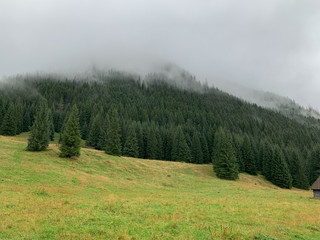 Trekking in the Kościeliska Valley, Tatra mountains.