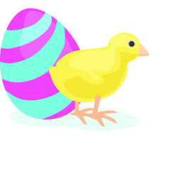 yellow little chicken chick easter egg  animal baby bird icon isolated on white background