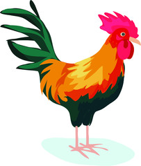chicken easter rooster red colorful nature animal bird icon isolated on white background