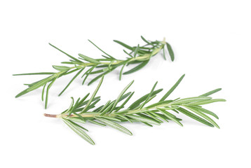 Fototapeta premium Rosemary isolated on white background.