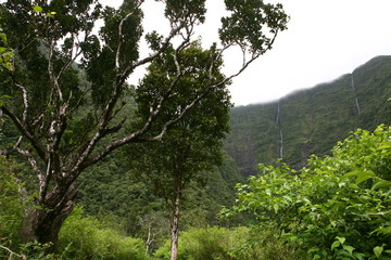 Obraz premium L'ile de La Réunion dans l'océan Indien, France.