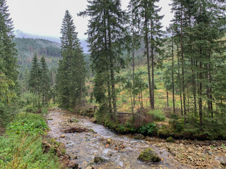 Fototapeta premium Trekking in the Kościeliska Valley, Tatra mountains.