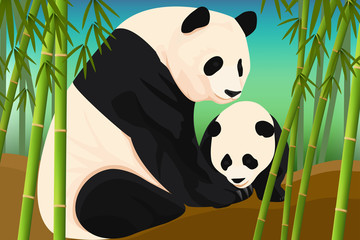 Panda mother and son vector