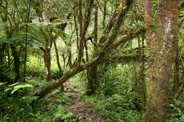 L'ile de La Réunion dans l'océan Indien, France.