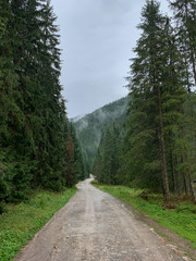 Obraz premium Trekking in the Kościeliska Valley, Tatra mountains.