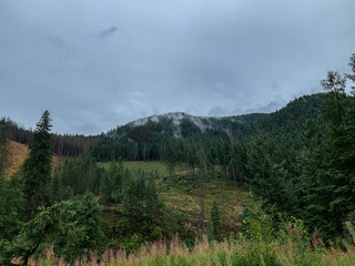 Trekking in the Kościeliska Valley, Tatra mountains.