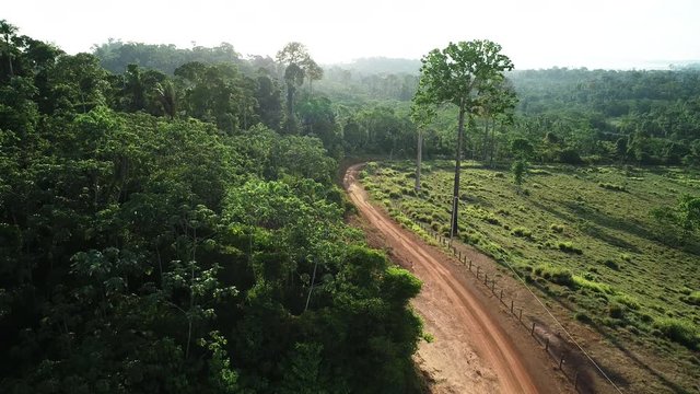 4k aerial amazon deforestation