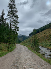 Fototapeta premium Trekking in the Kościeliska Valley, Tatra mountains.