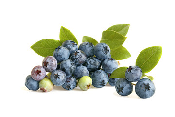 Pile of blueberries with leaflets isolated on white