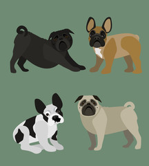 Fototapeta premium Set of molos dogs: pugs and french bulldogs in various positions, clean geometrical vector file for many purposes.