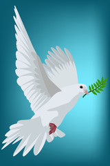 White pigeon vector 