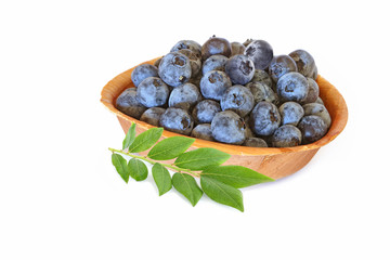 Blueberries on a plate with sprig  isolated on white