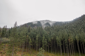Trekking in the Kościeliska Valley, Tatra mountains.