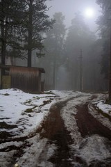 A road that runs into the distance, past a wooden shed and trees in the fog.