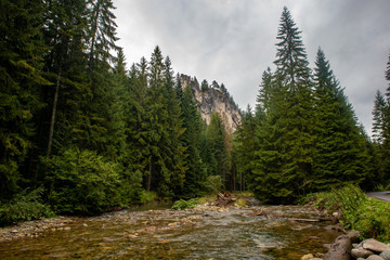 Trekking in the Kościeliska Valley, Tatra mountains.