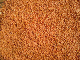 Red raw organic lentils texture. Food ingredient background. Natural