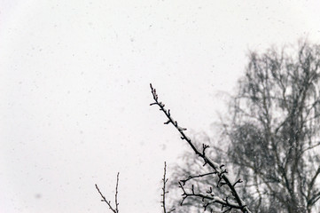 In the countryside, snow falls, the view from the window.
